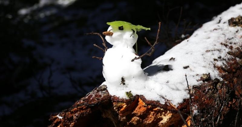 Метеорологи оприлюднили прогноз на погоду січня 2026 року - новини bigmir)net.