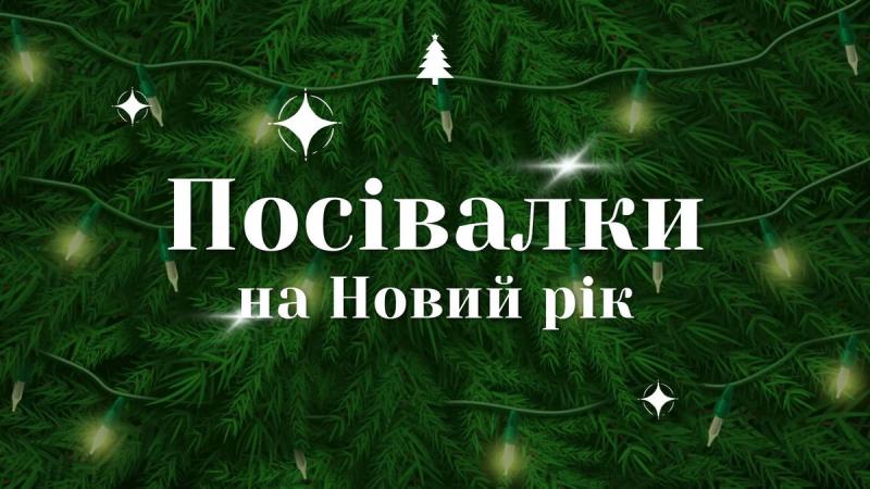 Новый год 2026 - простые посевные традиции, освоить которые под силу каждому.