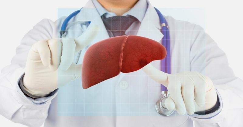 Які чинники впливають на стан здоров'я травної системи та як їх можна регулювати?