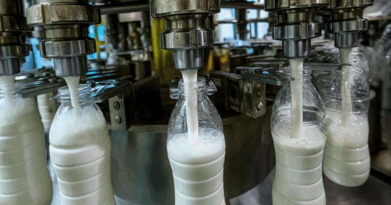 Ситуація на глобальному молочному ринку: надмірне виробництво призвело до значного зниження цін.