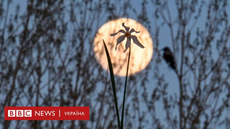 Кривава повня. Коли на небі запалає повний місяць і як він впливає на наше життя - BBC News Україна