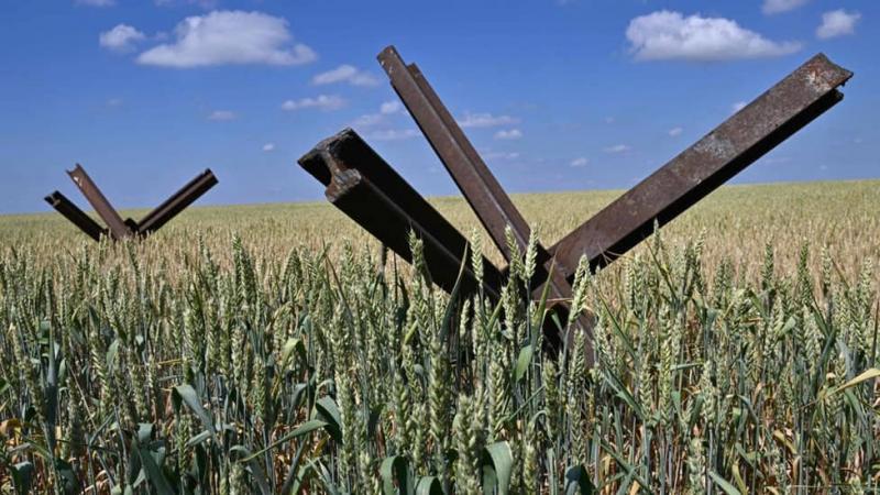 ЗМІ: Європейський Союз на деякий час поверне квоти на українську сільськогосподарську продукцію.