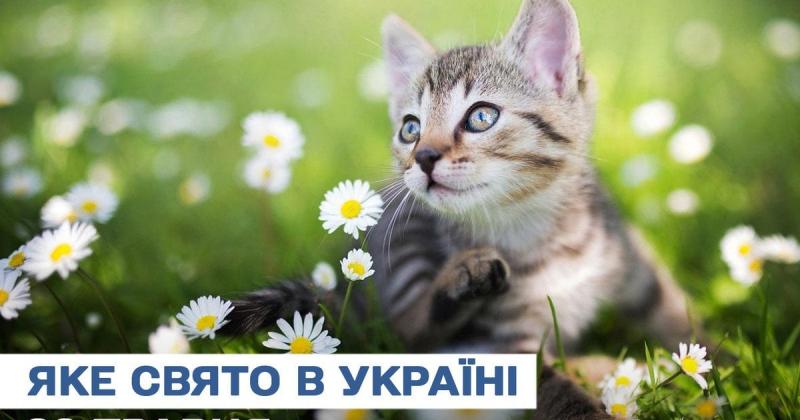 Яке свято відзначається завтра, 29 травня? Дізнайтеся більше про цей день, його церковні традиції та що варто уникати.
