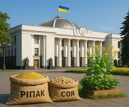 Експортне мито в розмірі 10% на ріпак та сою сприяє зниженню цін на ці культури в Україні.