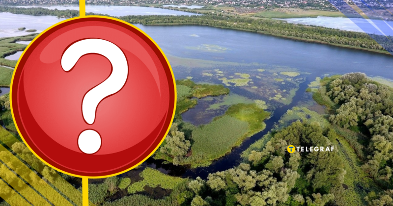 На острові Хортиця вперше було зафіксовано незвичайну тварину: вчені чули її 