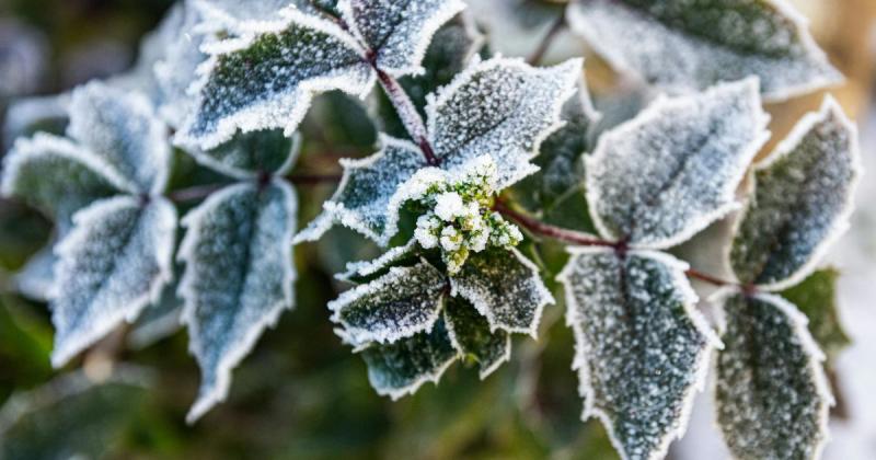 Мороз до -3°C та ризик пожеж: в яких регіонах України варто бути обережними з погодними сюрпризами.