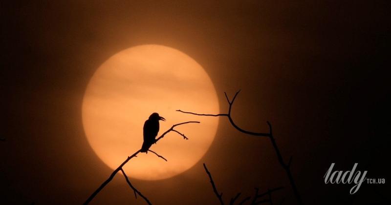 Сонячна активність у Козерозі з 21 грудня по 20 січня: які події можуть статися в цей період?