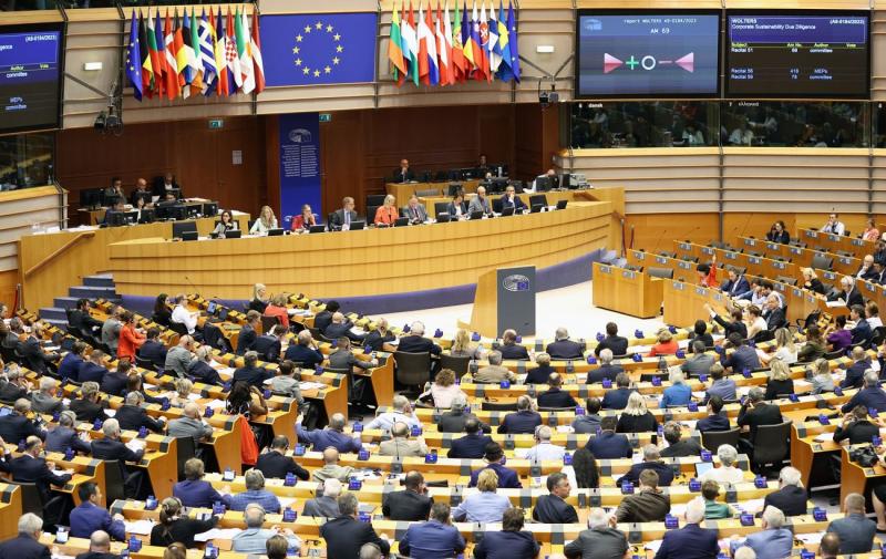 Європейський парламент активізував процес розгляду питання 