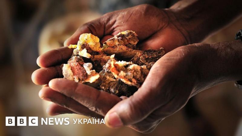 Ладан: його походження та причини зникнення цих цінних ароматів - BBC News Україна