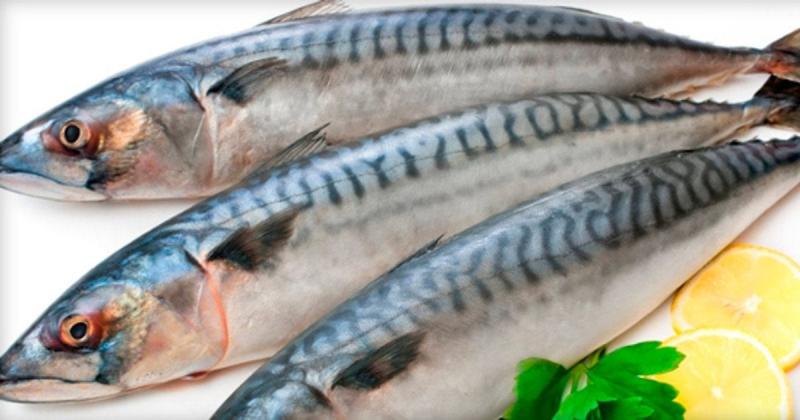 Маринована скумбрія: як перетворити цю рибу на вишукану страву.