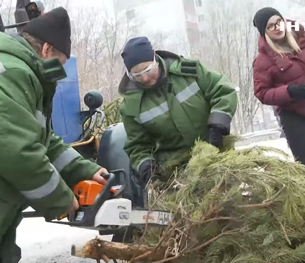 У Києві започаткували 72 нових місця для збору ялинок, які підлягають переробці.