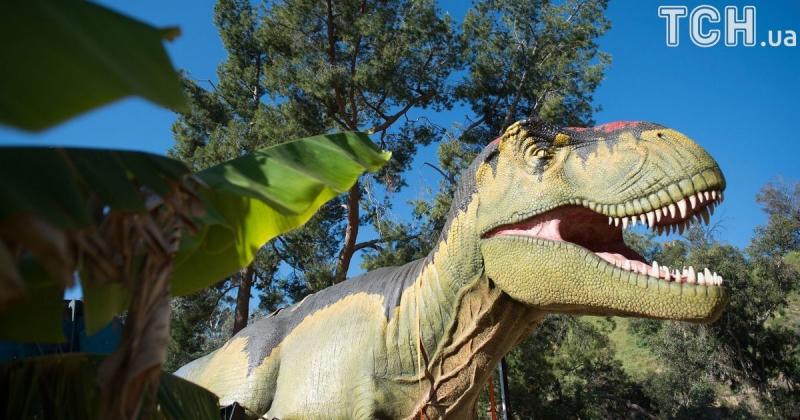 Не один рік і не два: як швидко досягали зрілості тиранозаври.