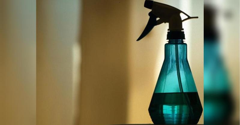 Чорна цвіль зникне за короткий час: простий засіб доступний у кожному домі.