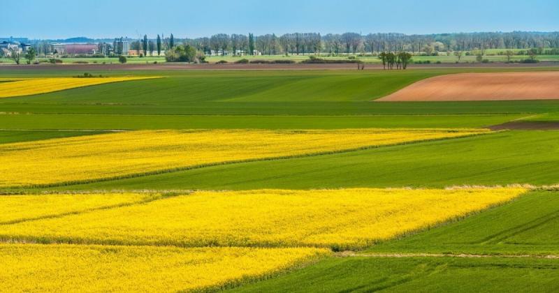 В Україні обсяг ринку землі перевищив мільйон гектарів, а вартість зросла на 96% -- повідомляє Delo.ua.