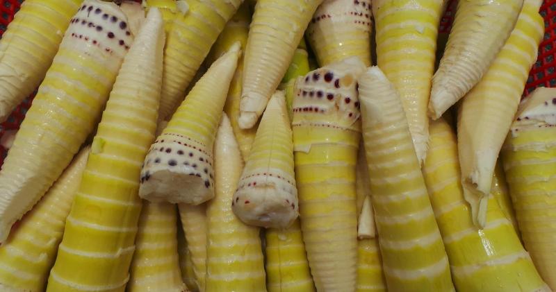 Ми зустрічаємо їх у магазині. Вони багаті на волокна, мають низьку калорійність і є корисними для серцево-судинної системи.