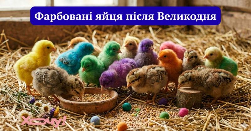 Основне, що вражає: збірка епічних невдач з великодніми яйцями та пасками - Hochu.ua