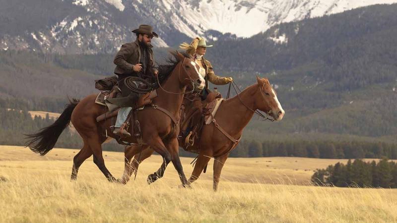 Американские драматические сериалы, в которых каждый что-то утаивает.