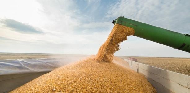 Національний банк України продовжив терміни розрахунків за аграрну продукцію до 150 днів.