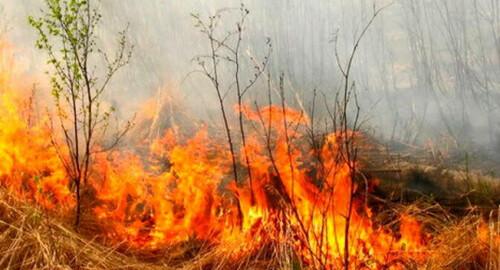 Осіннє листя не слід використовувати для розпалювання вогню: мешканців Харківщини застерегли про можливі наслідки.